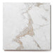 Bedrosians  - Antica Roma 12 in. x 12 in. Matte Porcelain Tile - Bianco