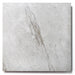Bedrosians  - Antica Roma 12 in. x 12 in. Matte Porcelain Tile - Grigio
