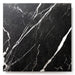 Bedrosians - Antica Roma 12 in. x 12 in. Matte Porcelain Tile - Nero