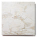 Bedrosians - Antica Roma 12 in. x 12 in. Matte Porcelain Tile - Oro