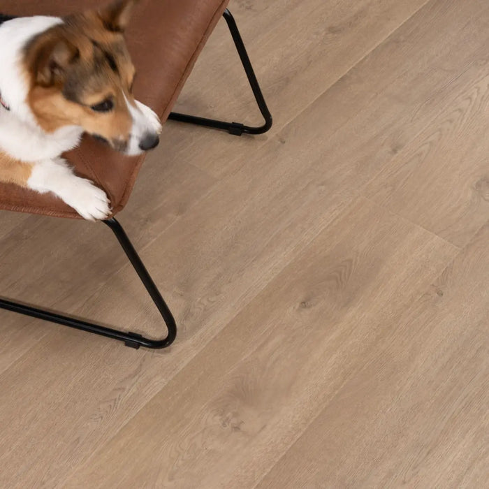 CALI Floors - Santa Cruz Collection - 9.5 in. x 72 in. Laminate Flooring - Del Mar Drift Pet Friendly