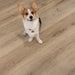 CALI Floors - Santa Cruz Collection - 9.5 in. x 72 in. Laminate Flooring - Aged Hickory Pet Friendly