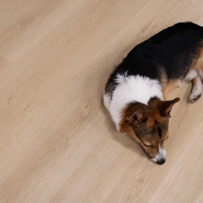 CALI Floors - Santa Cruz Collection - 9.5 in. x 72 in. Laminate Flooring - Rockaway Oak Pet Friendly