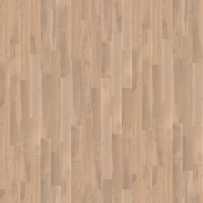CALI Floors - Cellar Engineered Hardwood - Terra Rose 5