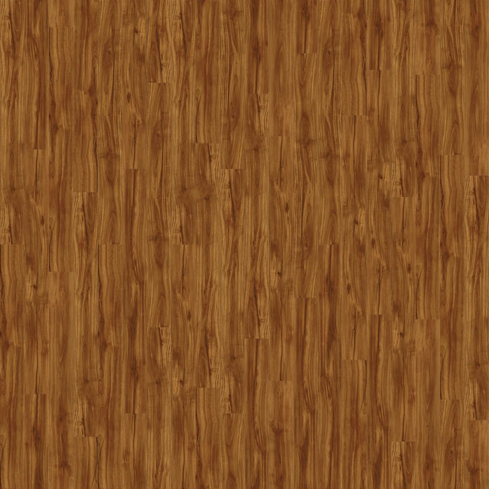 CALI Floors - High Tide Vinyl Flooring - Classic Acacia 6