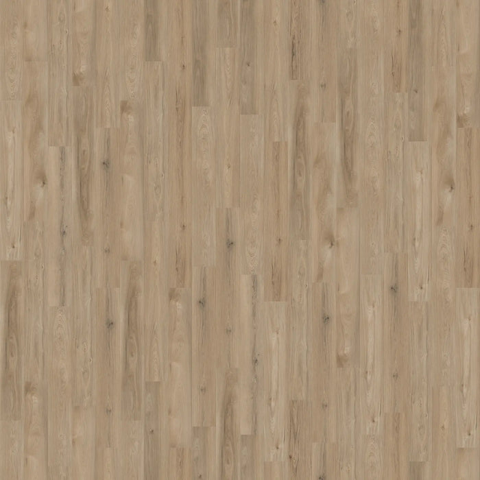 CALI Floors - Laguna Vinyl Flooring - Artisan Shoal 5