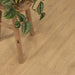 CALI Floors - Laguna Vinyl Flooring - Cypress Preserve 3