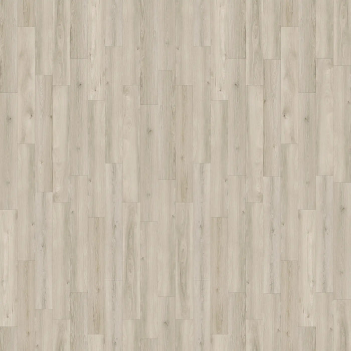 CALI Floors - Laguna Vinyl Flooring - Pacific Plover 6