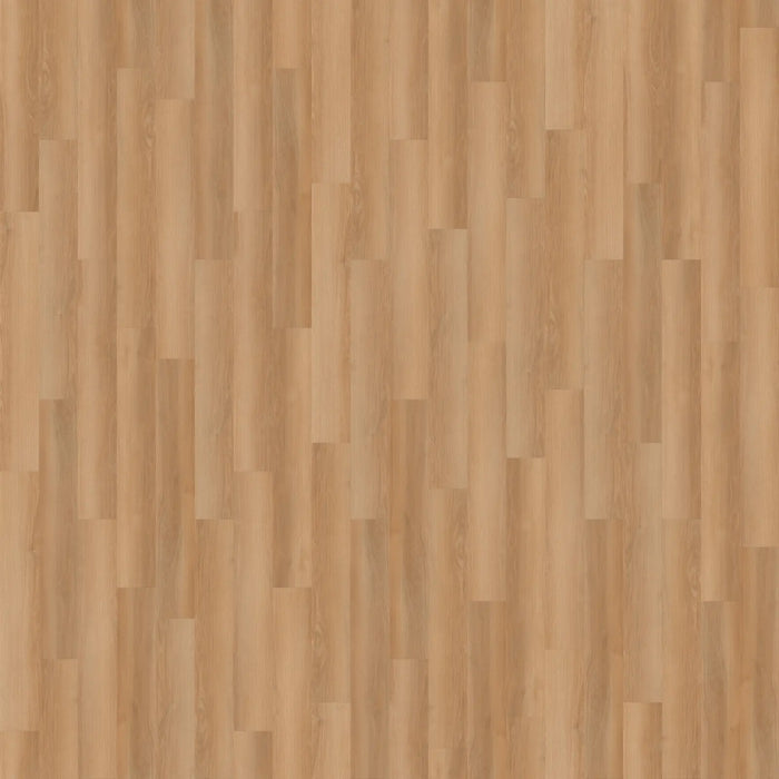 CALI Floors - Laguna Vinyl Flooring - Seas the Day 5