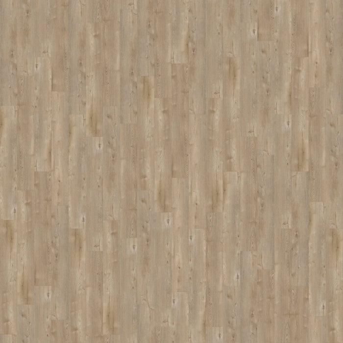 CALI Floors - Laguna Vinyl Flooring - Skimboard Shore 5