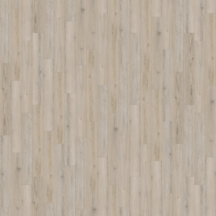 CALI Floors - Laguna Vinyl Flooring - Whale Watch 6