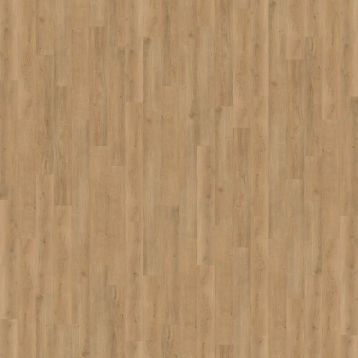 CALI Floors - Legends Vinyl Flooring - Catamaran 6