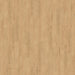CALI Floors - Legends Vinyl Flooring - Hidden Palm 5