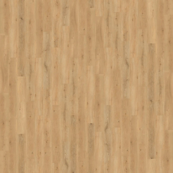 CALI Floors - Legends Vinyl Flooring - South Wind Oak 6