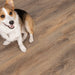 CALI Floors - Trestles Vinyl Flooring - Dockwood 3