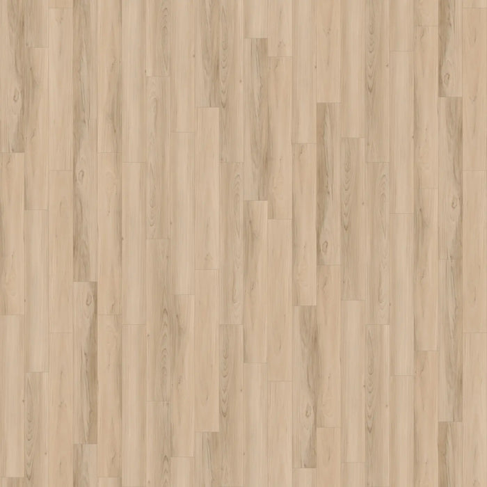 CALI Floors - Trestles Vinyl Flooring - Timber Beach 5