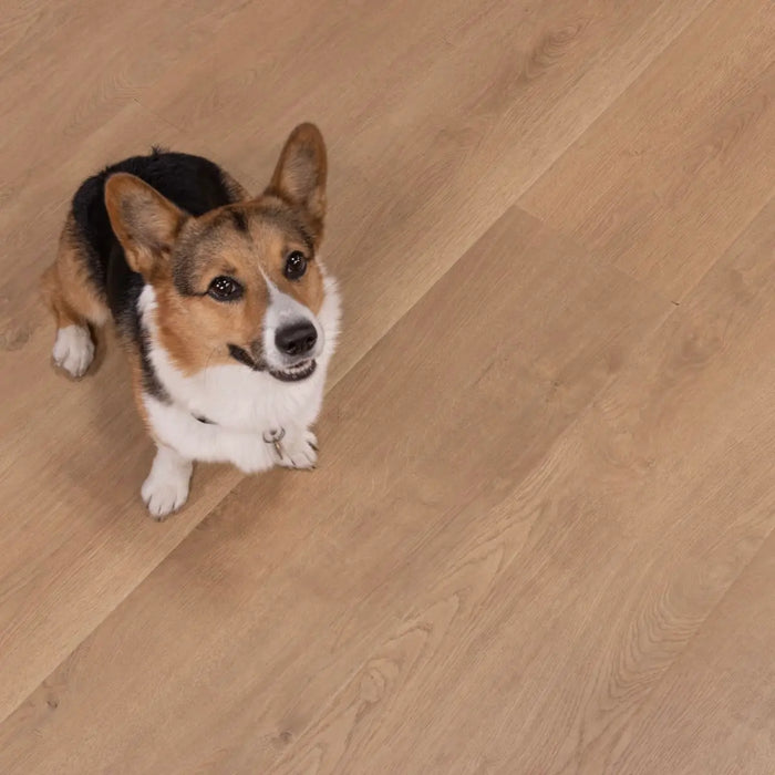 CALI Floors - Santa Cruz Collection - 9.5 in. x 72 in. Laminate Flooring - Belmont Bluffs Pet Friendly