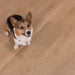 CALI Floors - Santa Cruz Collection - 9.5 in. x 72 in. Laminate Flooring - Belmont Bluffs Pet Friendly