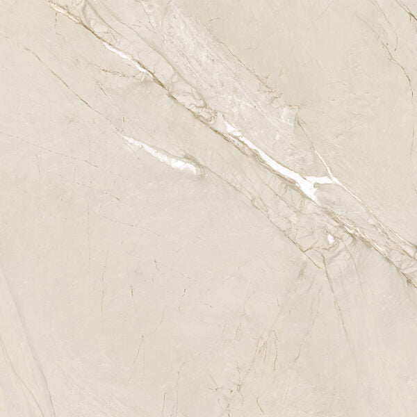 Happy Floors - Cardosia 24 in. x 24 in. Natural Porcelain Tile - River Rock