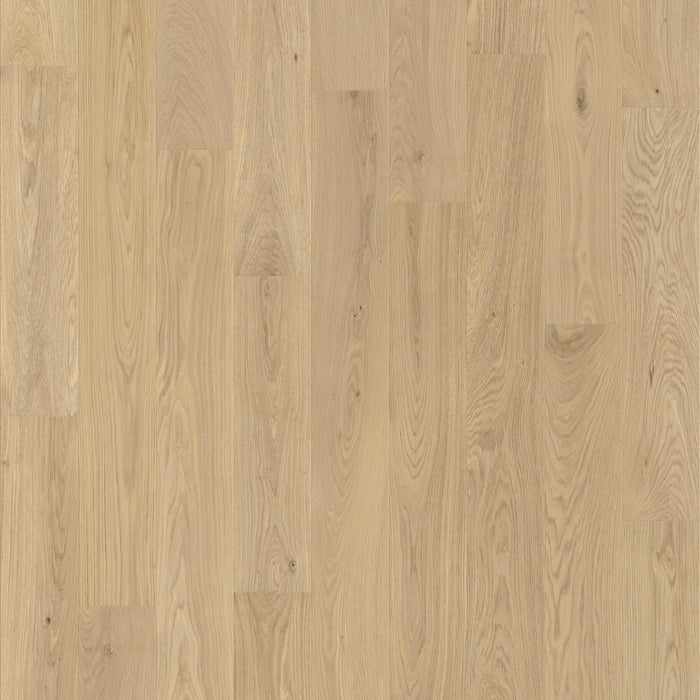 Chesapeake Flooring - Elegant Manor Collection - 7 1/2 in. Engineered Hardwood - Fair Lane
