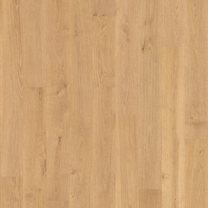 Chesapeake Flooring - Elegant Manor Collection - 7 1/2 in. Engineered Hardwood - Vander House