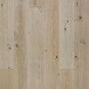 See TrueTouch - Pacific Longboard Collection - 9.5