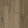 See Palmetto Road - Veranda - The Charleston Collection - Sweetgrass