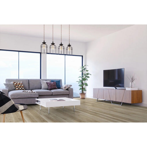 CityWide - Dryback - 7 in. x 48 in. Luxury Vinyl Plank - Lasalle