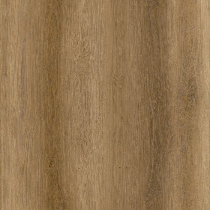 Jackson Vinyl - Community Luxury Vinyl - Courtyard Oak