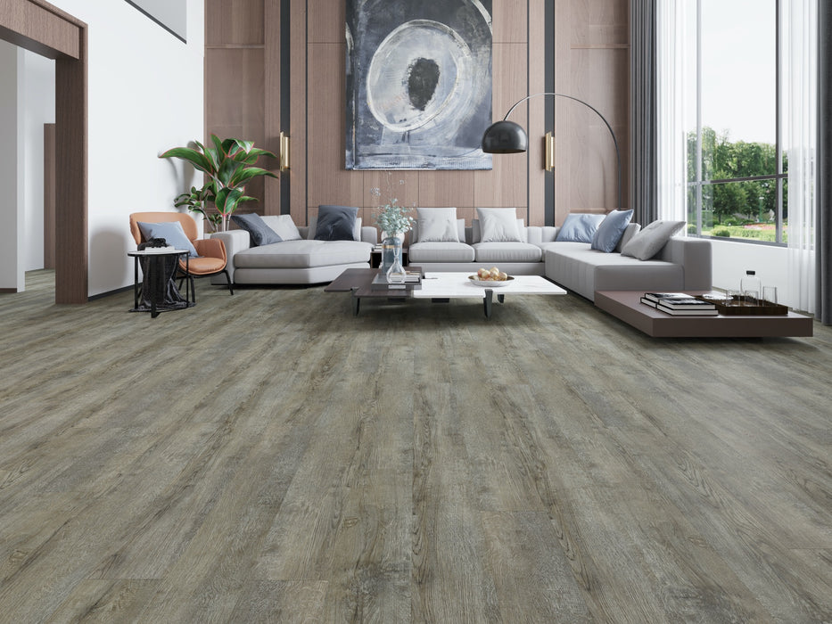 Create Flooring - Acadia 7 in. x 48 in. Glue Down Luxury Vinyl Plank - Silverpointe Room Scene