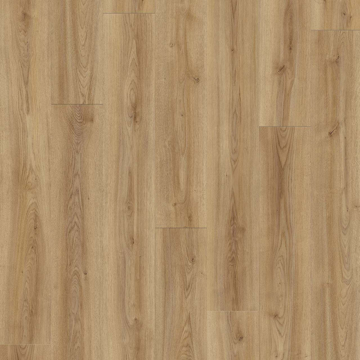 Engineered Floors - Wood Tech Collection - 7 in. x 54 in. - Birch Mountain