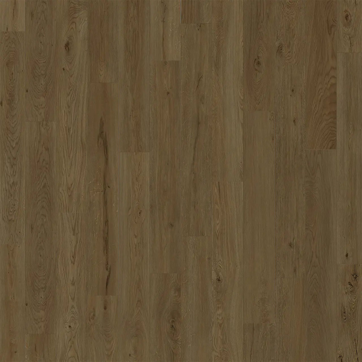 Engineered Floors - American Standard Collection - 7 in. x 48 in. - Biscayne