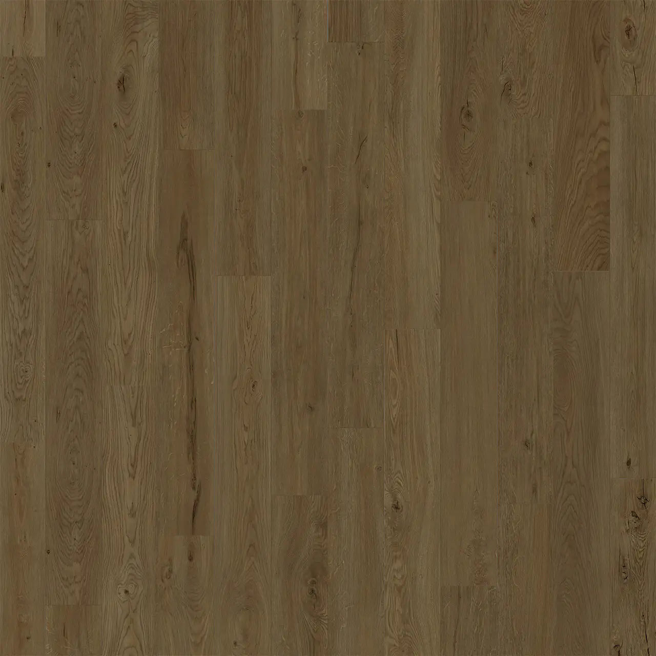 Engineered Floors - American Standard Collection - 7 in. x 48 in. - Biscayne