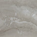 Daltile - Famed 24 in. x 24 in. Colorbody Porcelain Tile - Fortune Polished
