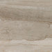Daltile - Famed 24 in. x 24 in. Colorbody Porcelain Tile - Luxe Matte