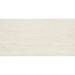 Daltile - Ambassador 12 in. x 24 in. Colorbody Porcelain Tile - Wanderlust White