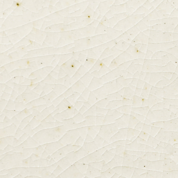 Daltile - Contempee Collection - 4 in. x 4 in. - Handcrafted Glossy Ceramic Wall Tile - Jasmine Detailed View