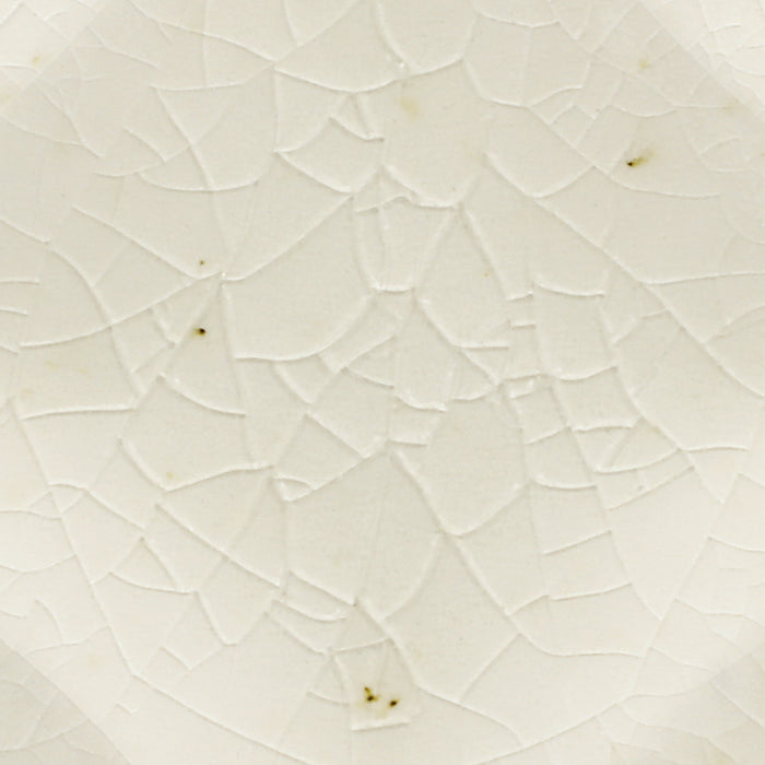 Daltile - Contempee Collection - 4 in. x 4 in. - Star Glossy Ceramic Wall Tile - Jasmine Close View