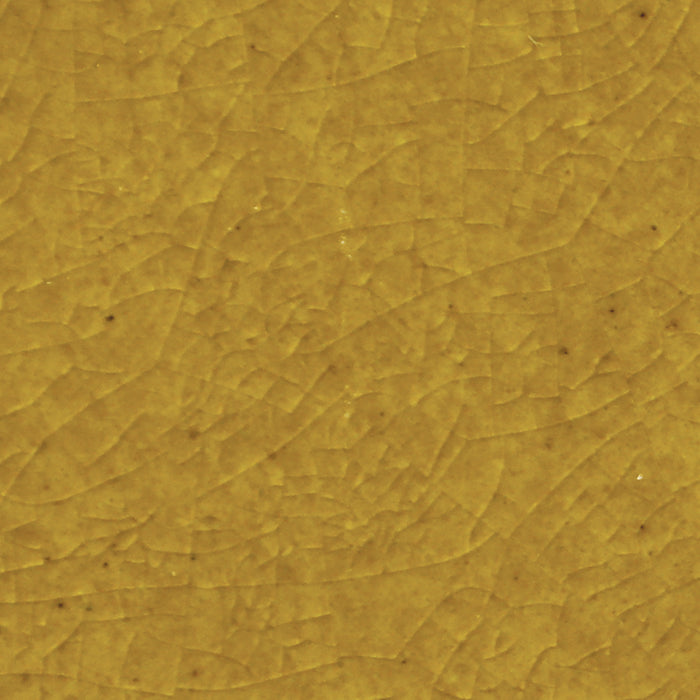 Daltile - Contempee Collection - 4 in. x 4 in. - Handcrafted Glossy Ceramic Wall Tile - Marigold Close View
