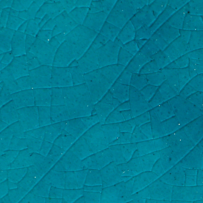 Daltile - Contempee Collection - 4 in. x 4 in. - Handcrafted Glossy Ceramic Wall Tile - Bonnet Close View