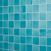 Daltile - Contempee Collection - 4 in. x 4 in. - Handcrafted Glossy Ceramic Wall Tile - Bonnet Installed