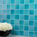 Daltile - Contempee Collection - 4 in. x 4 in. - Handcrafted Glossy Ceramic Wall Tile - Bonnet Wall Install