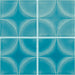 Daltile - Contempee Collection - 4 in. x 4 in. - Star Glossy Ceramic Wall Tile - Bonnet Variation View