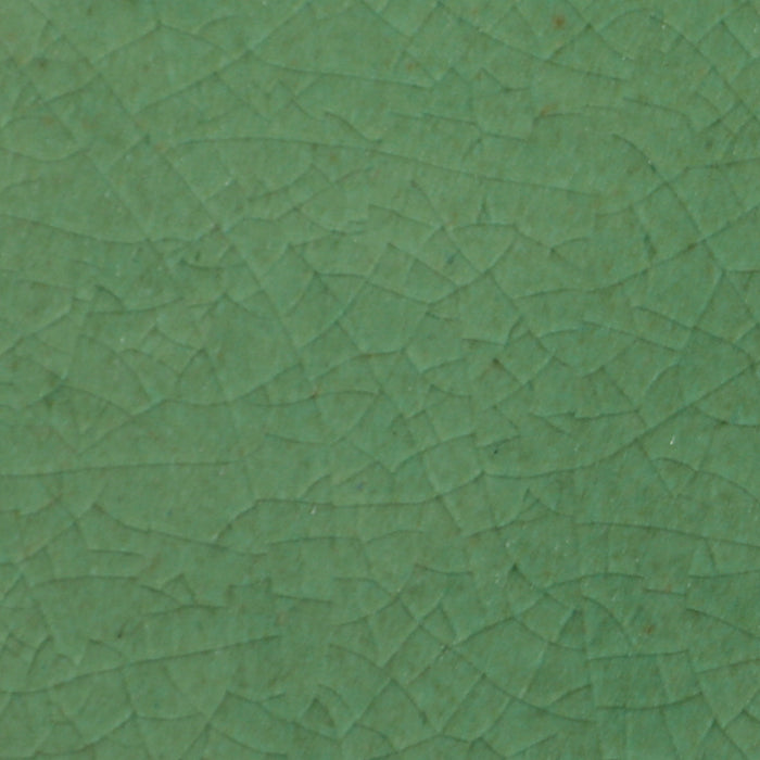 Daltile - Contempee Collection - 4 in. x 4 in. - Handcrafted Glossy Ceramic Wall Tile - Ivy Close View