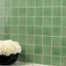 Daltile - Contempee Collection - 4 in. x 4 in. - Handcrafted Glossy Ceramic Wall Tile - Ivy Wall Install