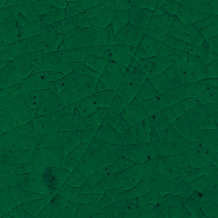 Daltile - Contempee Collection - 4 in. x 4 in. - Handcrafted Glossy Ceramic Wall Tile - Fern Close View