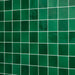 Daltile - Contempee Collection - 4 in. x 4 in. - Handcrafted Glossy Ceramic Wall Tile - Fern Installed