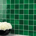 Daltile - Contempee Collection - 4 in. x 4 in. - Handcrafted Glossy Ceramic Wall Tile - Fern Wall Install