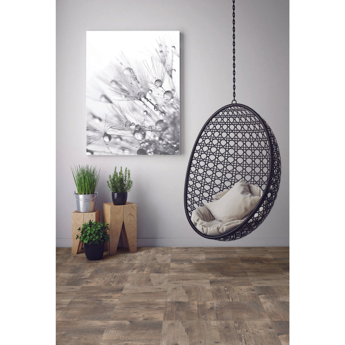 Daltile - Choreo - 10 in. x 10 in. Glazed Porcelain Tile - Medley Installed