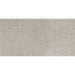 Daltile - Dignitary 12 in. x 24 in. Light Polished Porcelain Tile - Superior Taupe